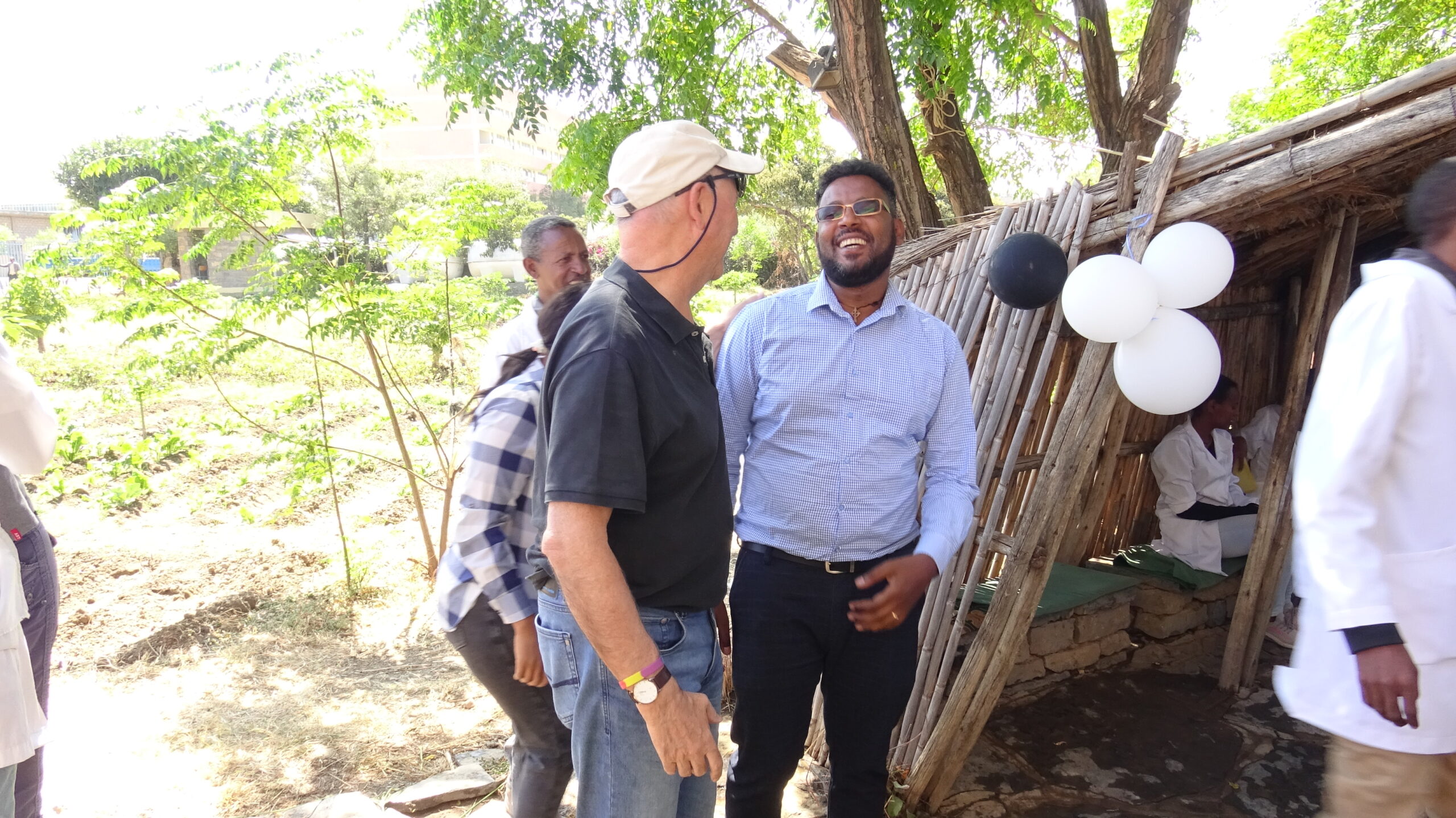 dsc08006